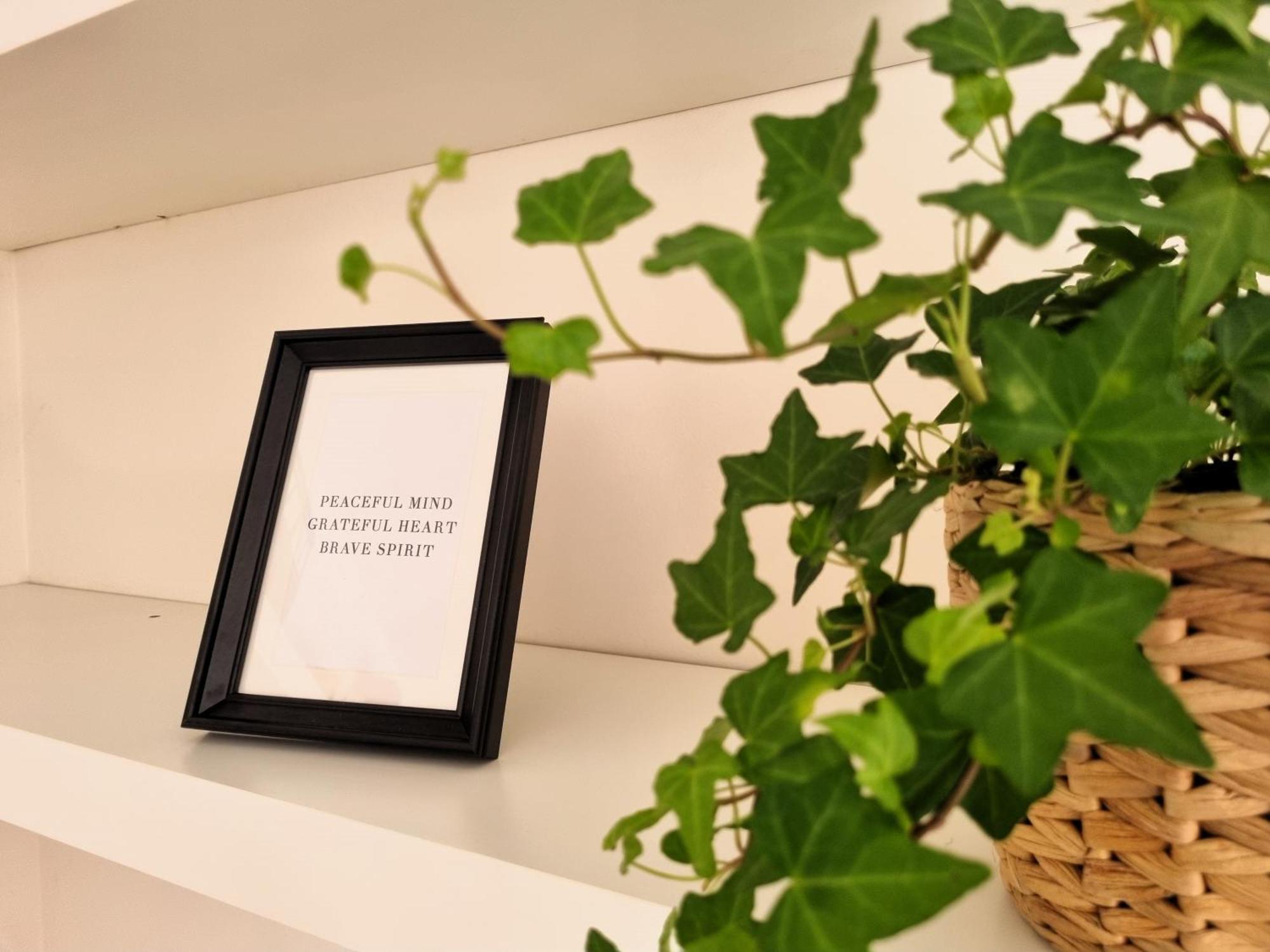 Relais Cassia - Parking, Wi-fi & Barbecue Semesterbostad *